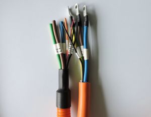 带胶热缩管在汽车线束上的